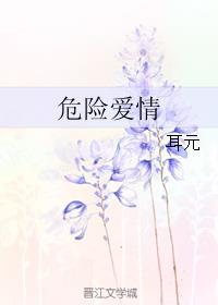 危险爱情